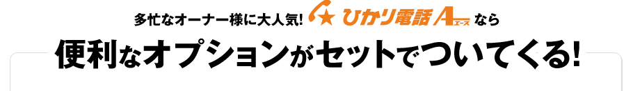 多忙なオーナー様に大人気！ひかり電話エースなら便利なオプションがセットでついてくる！