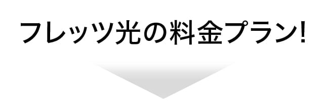 完全定額と2段階定額 ご利用状況に合わせて選べるフレッツ光2つの料金プラン！